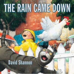 The Rain Came Down -- David Shannon